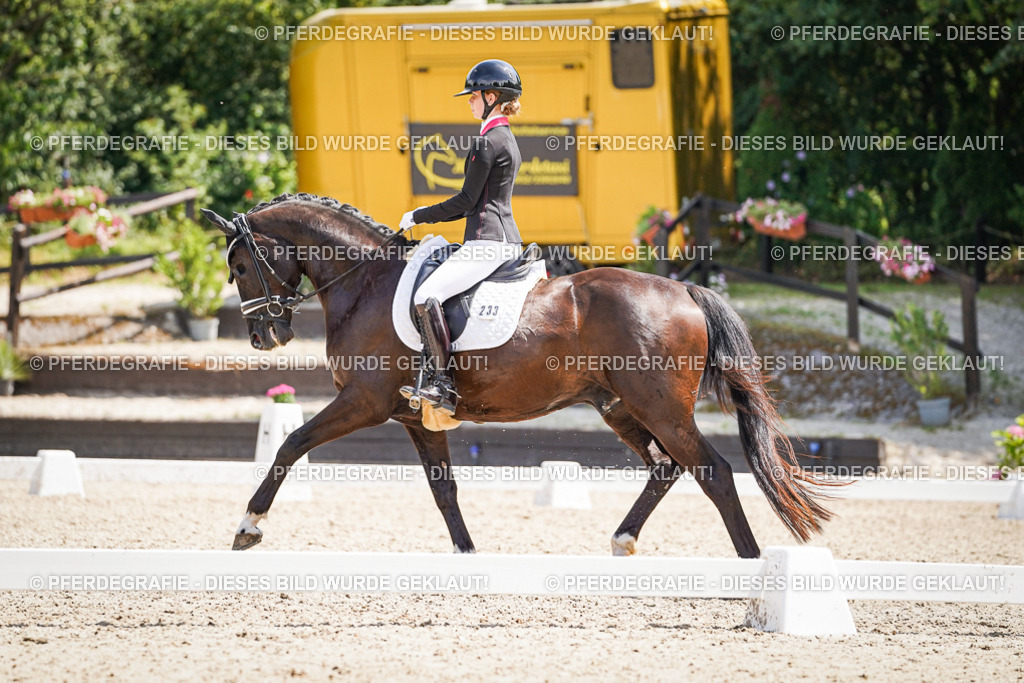 DSC01659 | Pferdegrafie