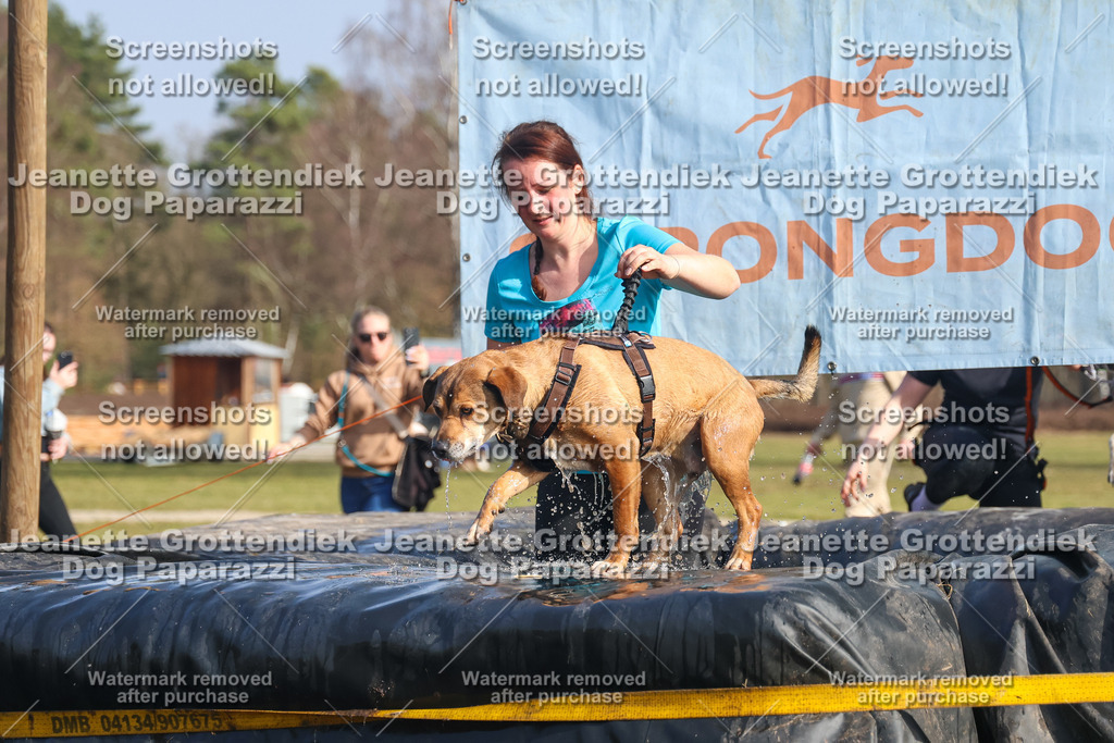 Dog Paparazzi - Strongdog North Mrz26-2577 | Dog Paparazzi Jeanette Grottendiek Fotografie & Videografie - Realisiert mit Pictrs.com