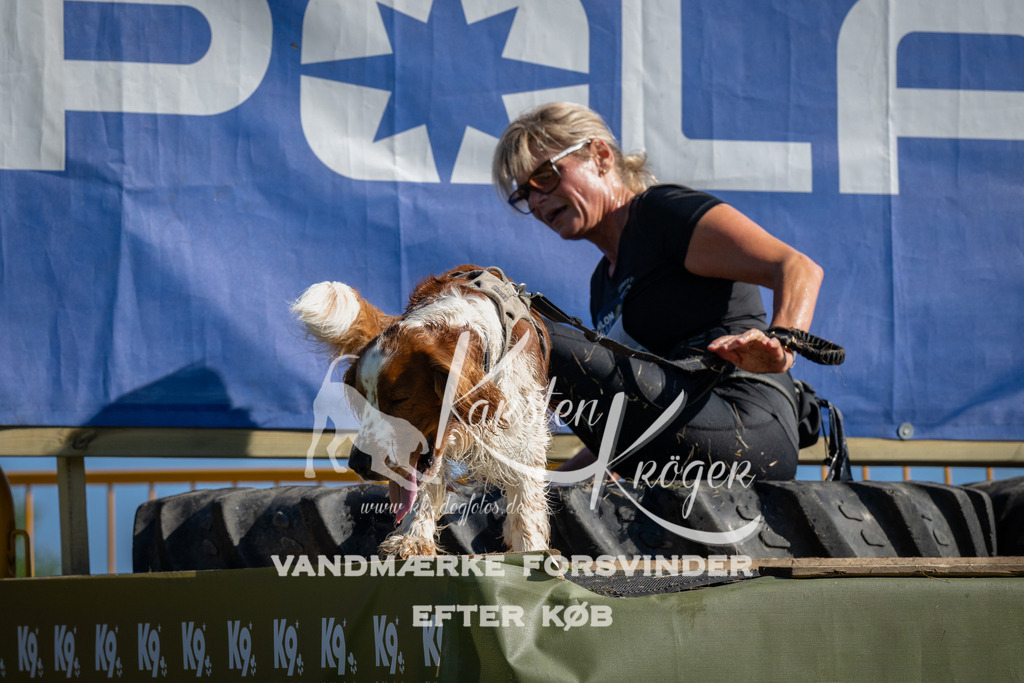 1009_ZZ97720 | kk-dogfotos