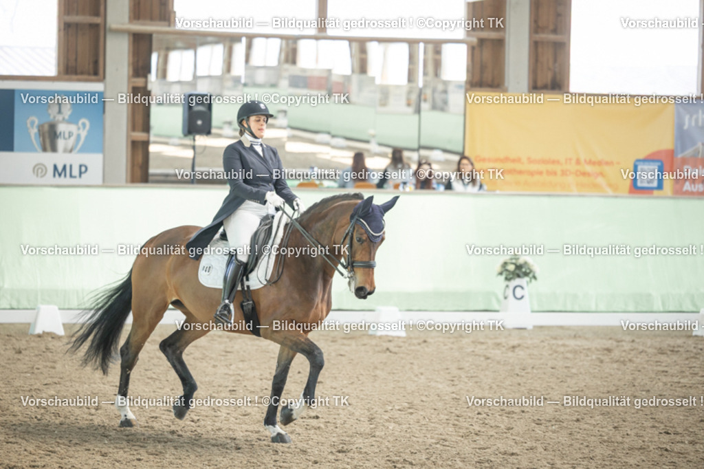 _D5A1947 | Emotionale Pferde- & People-Fotografie rund um Heidelberg, Leimen & Umgebung. Natürliche Fotos von Pferd, Mensch & Familie. Jetzt Termin sichern!