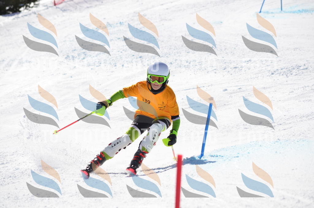 C9715 | holidayphoto