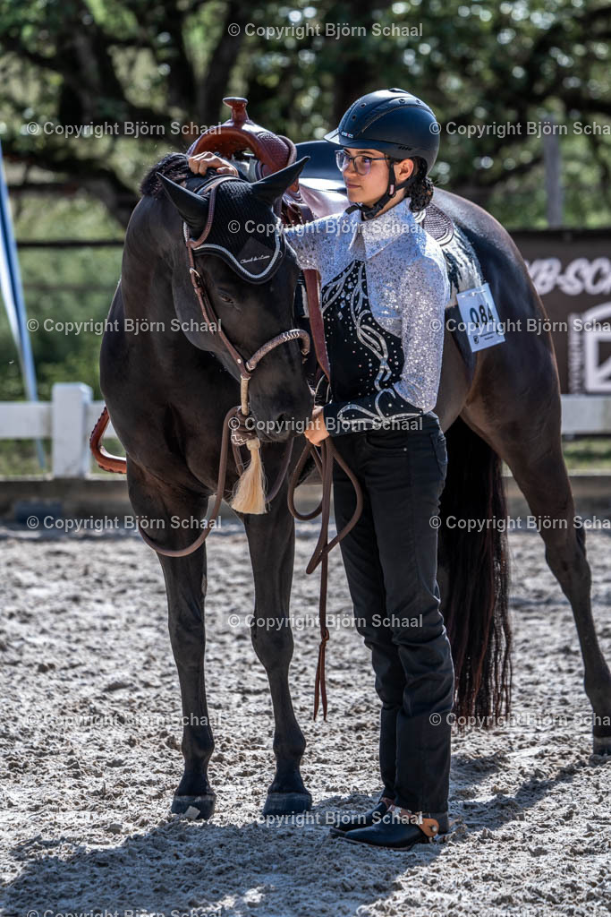 HOB00731 | BS-foto