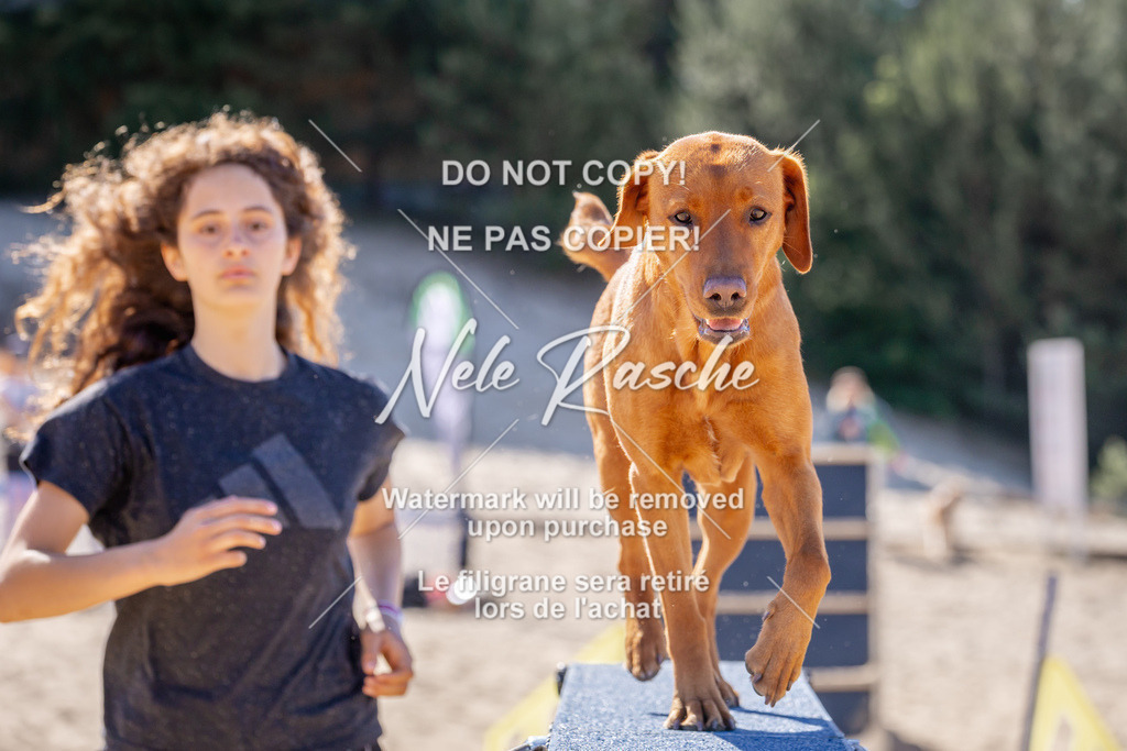 NR__0603 | nelerasche