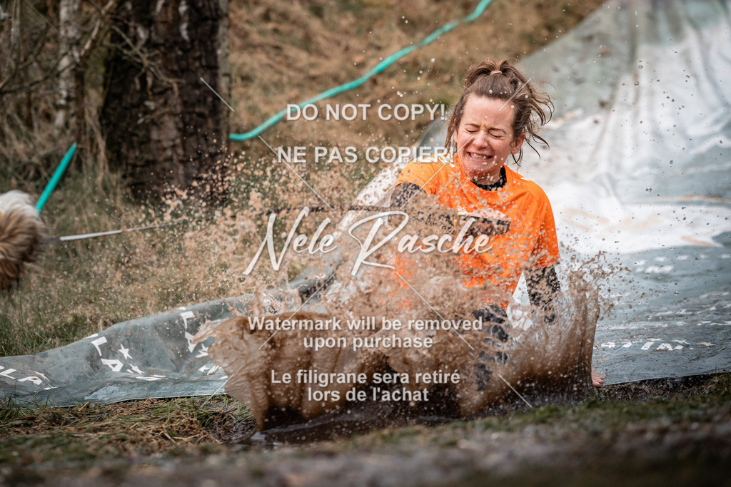 nelerasche_1330-1400_28 | nelerasche