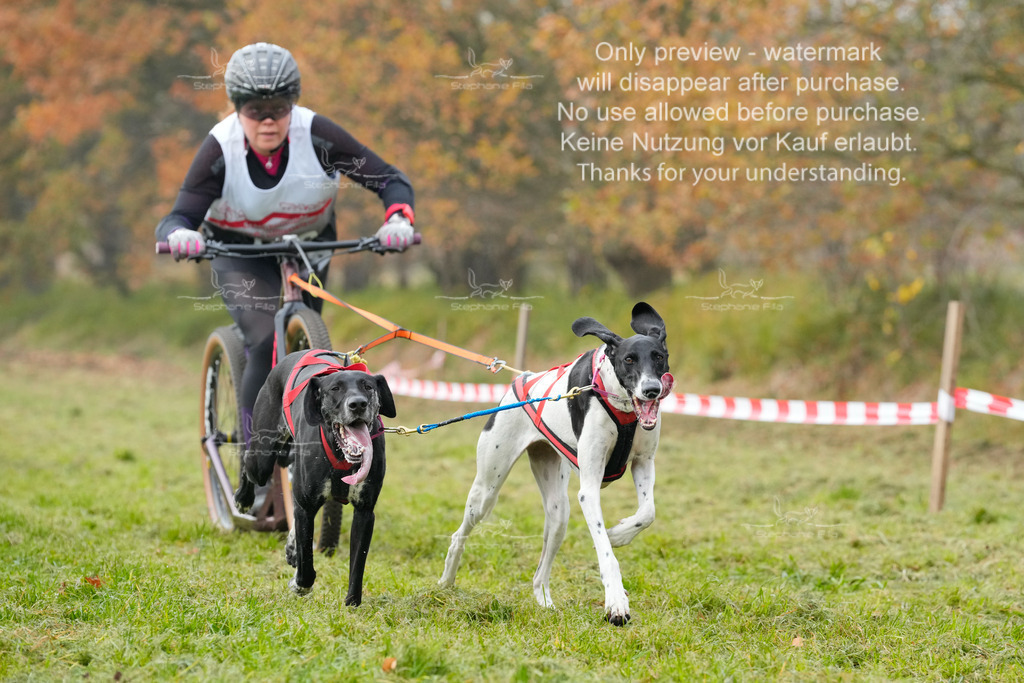 Visbeck_Sa_DS2DR2-85 | stephaniefillaphotographie - Realisiert mit Pictrs.com