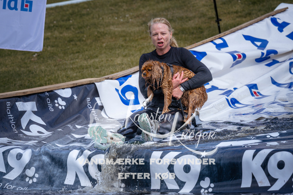 _ZZ910180911 | kk-dogfotos