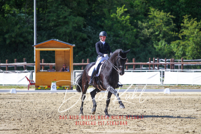 DKP42525 | Turniersportfotografie; Pferdefotografie; Dressurfotografie