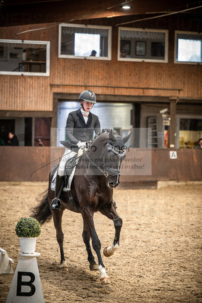 Hallenreittunier Voxtrup 2023 | Entdecke hochwertige Reitturnierfotos von Foto Oger. Professionell, emotional und authentisch – jetzt Lieblingsmomente im Shop bestellen. - Realisiert mit Pictrs.com