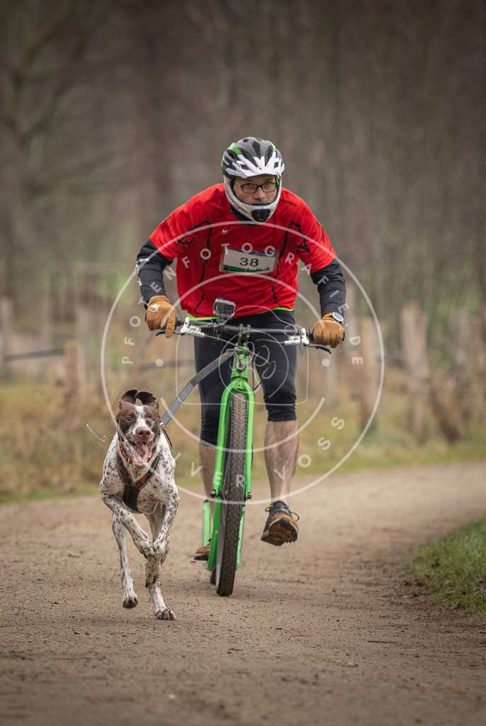Pfotenfotografie_DV3A2518 | Hundefotografie, Tierfotograf, Pfotenfotografie, Fotoshooting Hund, Hunde Portrait, Hundesport, Hundeportraits, Heideshooting, Hunde, Sportfotograf, Hundefotograf, Turnierhundsport, THS,  - Realisiert mit Pictrs.com