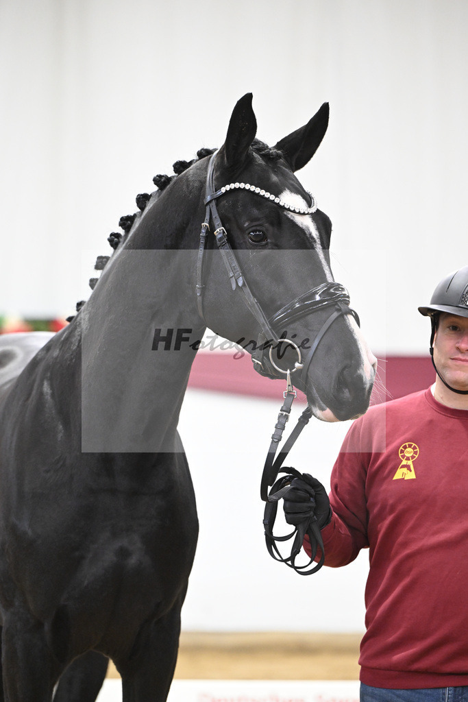 Kat-Nr. 59 Bloomberg x Gribaldi_T. _Stefan Schumacher_47252199 | hf-fotografie - Realisiert mit Pictrs.com