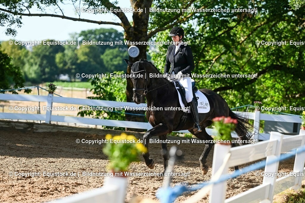 20230715_06_Dressurpferdeprfg. Kl.A_0004 | equistock