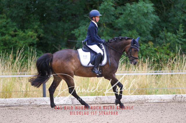 DKP47076 | Turniersportfotografie; Pferdefotografie; Dressurfotografie