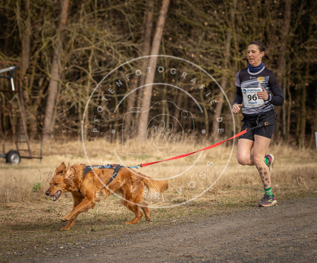 DV3A4100 | Hundefotografie, Tierfotograf, Pfotenfotografie, Fotoshooting Hund, Hunde Portrait, Hundesport, Hundeportraits, Heideshooting, Hunde, Sportfotograf, Hundefotograf, Turnierhundsport, THS,  - Realisiert mit Pictrs.com