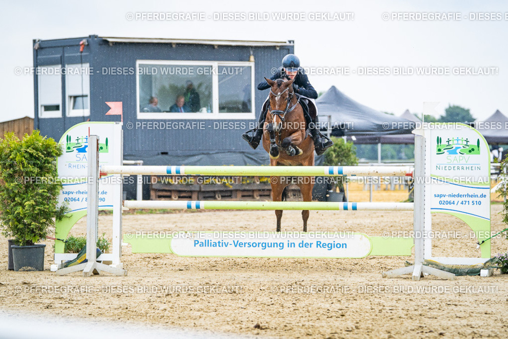 DSC09686 | Pferdegrafie