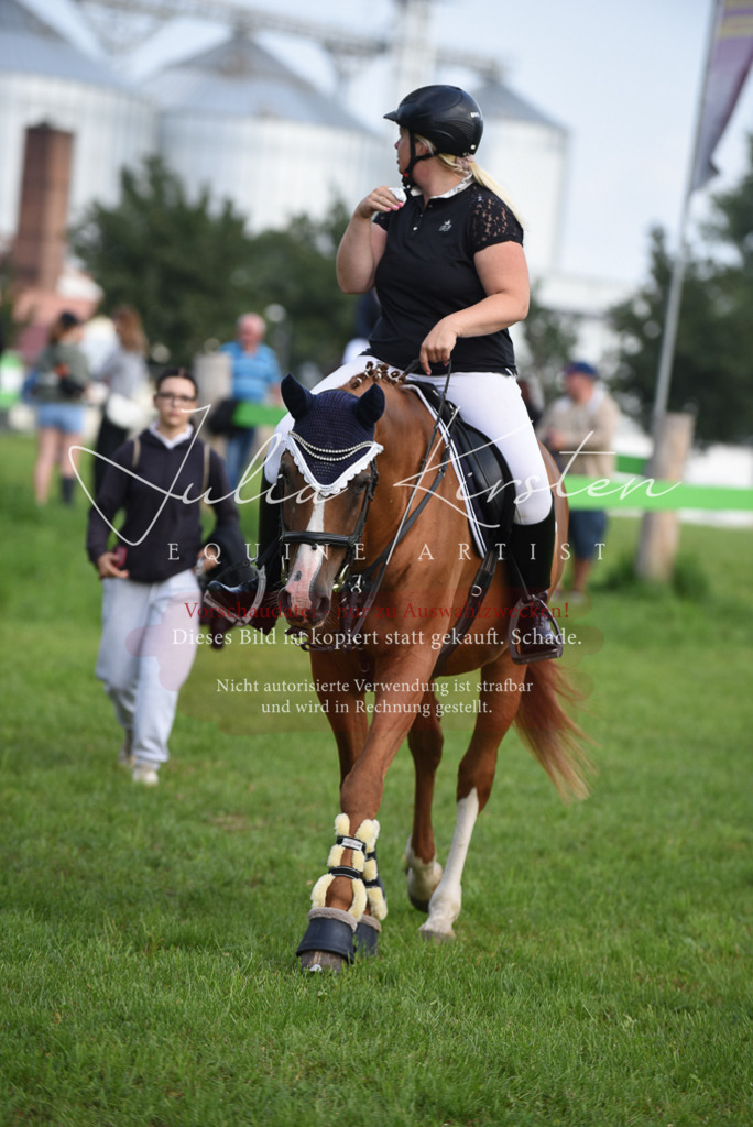 DSC_8591 | Pferde- und Turnierfotografie in Westsachsen. Pferdeportraits, Auftragszeichnungen und intuitive Kunst.