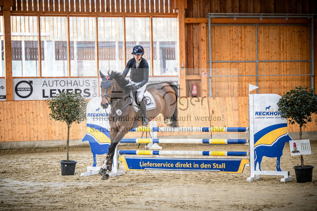 DOS_1022 | Entdecke hochwertige Reitturnierfotos von Foto Oger. Professionell, emotional und authentisch – jetzt Lieblingsmomente im Shop bestellen.Deutschlandweite Turnierfotografie. - Realisiert mit Pictrs.com