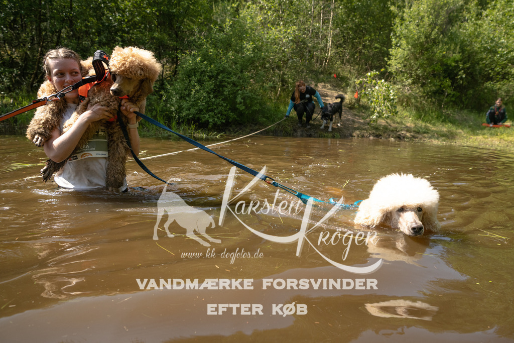 1515DKK990795 | kk-dogfotos
