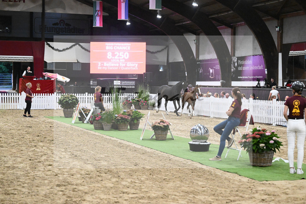 Auktion Big Chance_36230482 | hf-fotografie - Realisiert mit Pictrs.com