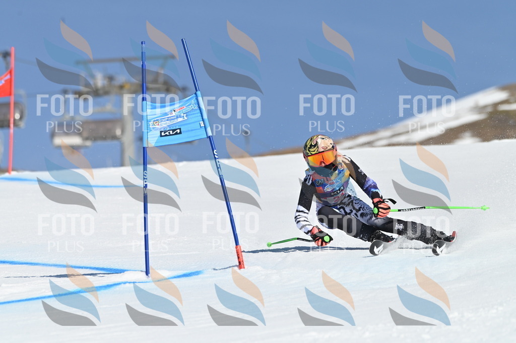 BGV_8025 | holidayphoto