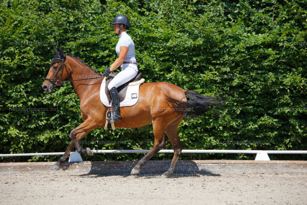 JHE_3884 | JoYa Fotografie - Realisiert mit Pictrs.com
