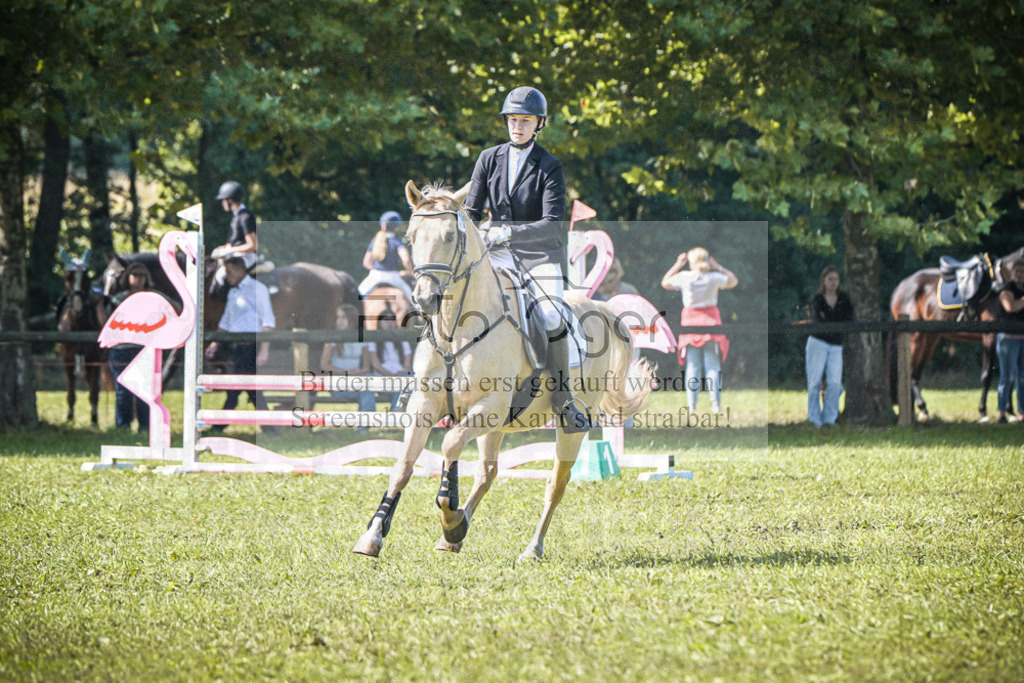 DOS_1110 | Entdecke hochwertige Reitturnierfotos von Foto Oger. Professionell, emotional und authentisch – jetzt Lieblingsmomente im Shop bestellen.Deutschlandweite Turnierfotografie. - Realisiert mit Pictrs.com