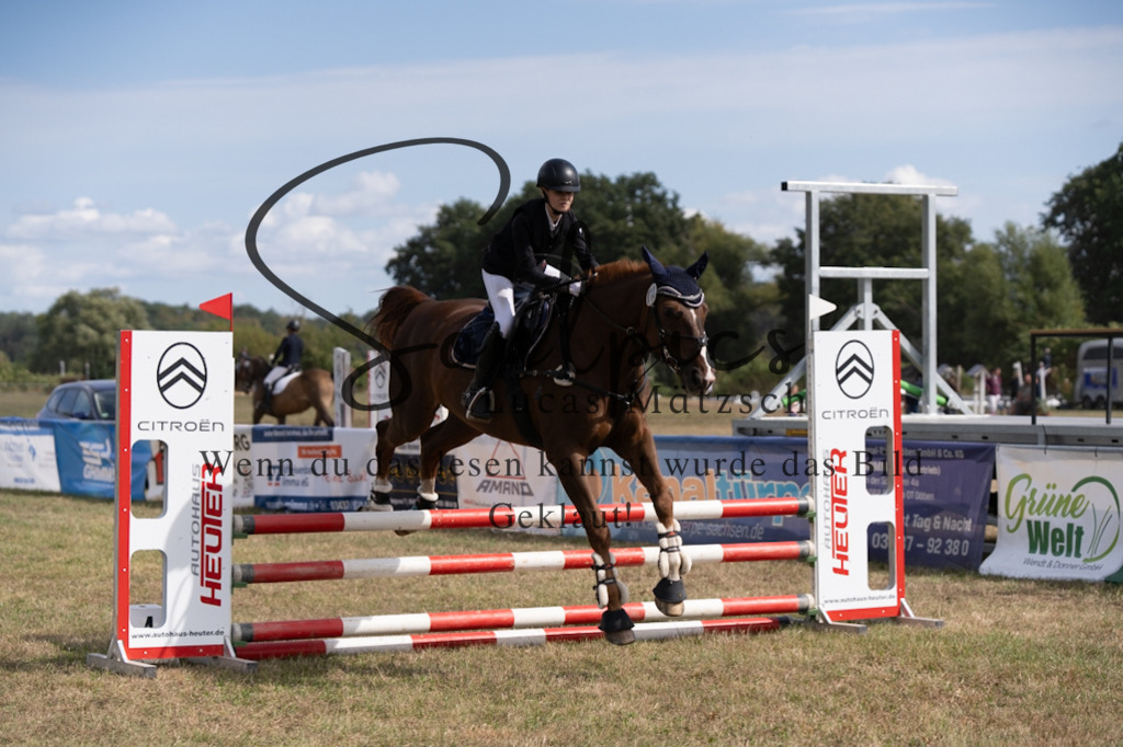 A7V08744 | Pferdefotograf