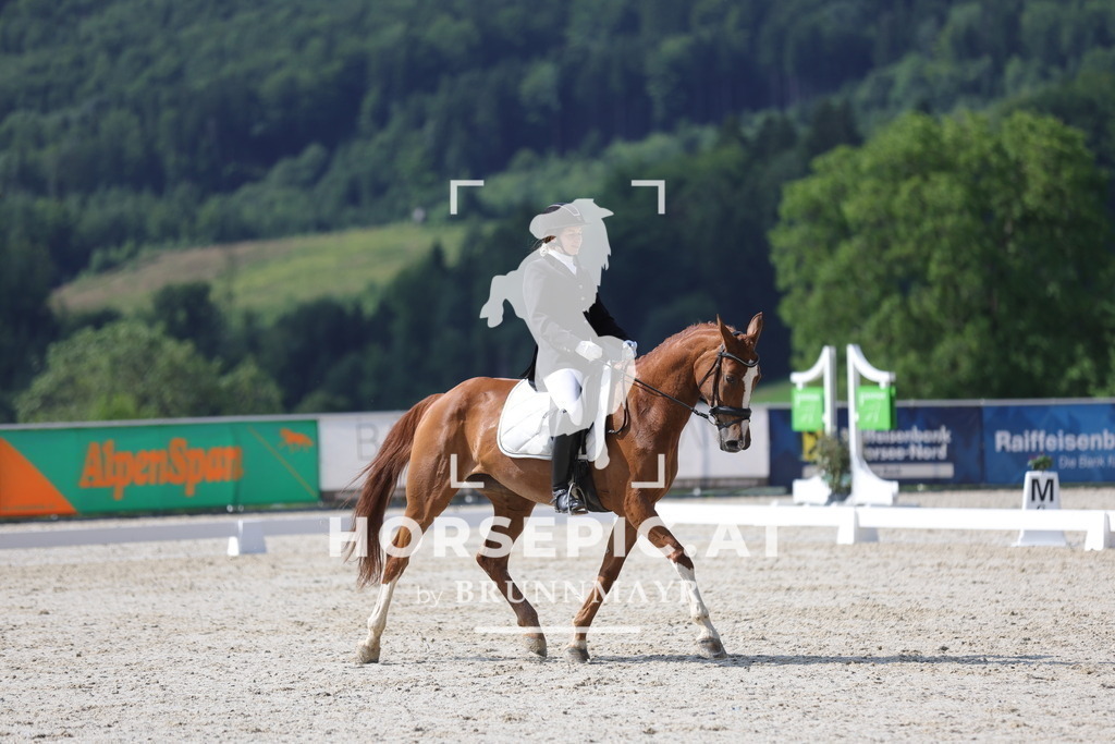 0P6A8987 | Willkommen bei Brunnmayr - Design & Fotografie – Ihrem Spezialisten für Reitturniere und Pferdeveranstaltungen in Oberösterreich, Salzburg und Bayern! Seit über 17 Jahren sind wir leidenschaftlich dabei.