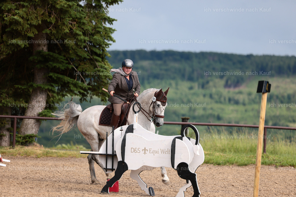 KlasseL_Stoibphotography_CAM23898.JPG | working equitationturnier fotograf videograf stoibphotography marixx film working equitation deutschland reitsport turnierfotografie eventfotografie equestrian events