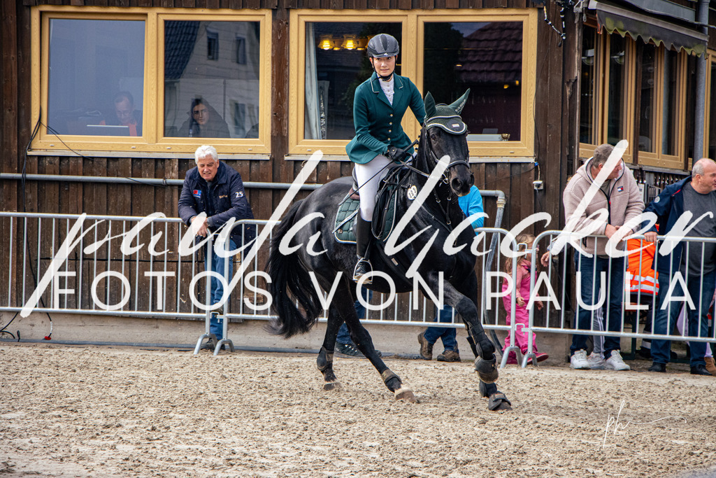IMG_3535 | Erleben Sie dynamische Sport- und emotionale Tierfotografie in Süddeutschland mit Fotos von Paula. Spezialisiert auf Pferde- und Hundefotografie sowie Sportevents. Kontaktieren Sie mich für einzigartige und ausdrucksstarke Bilder Ihrer besonderen Momente. - Realisiert mit Pictrs.com