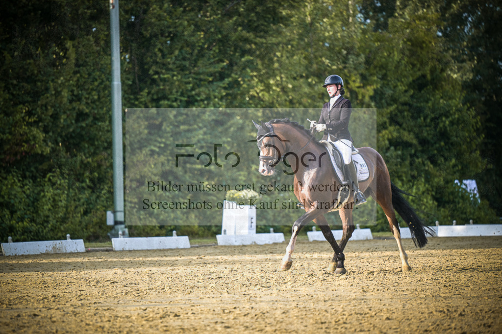 DOS_1658 | Entdecke hochwertige Reitturnierfotos von Foto Oger. Professionell, emotional und authentisch – jetzt Lieblingsmomente im Shop bestellen.Deutschlandweite Turnierfotografie. - Realisiert mit Pictrs.com