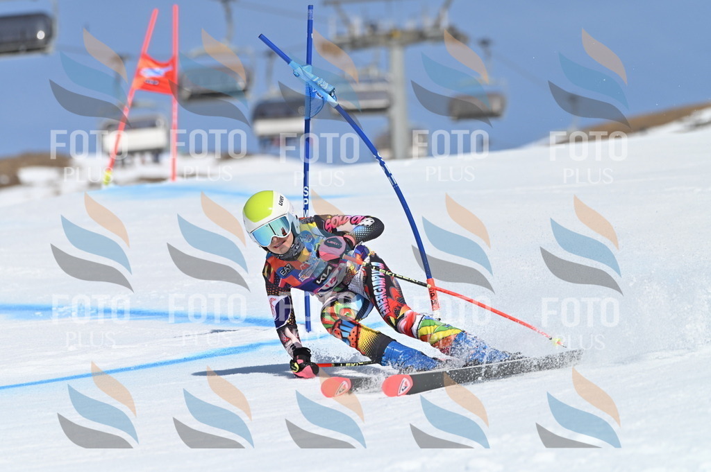 BGV_9534 | holidayphoto