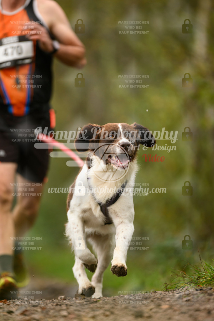 MompixPhotography_20TSB_E6_Run-121 | PayLife
