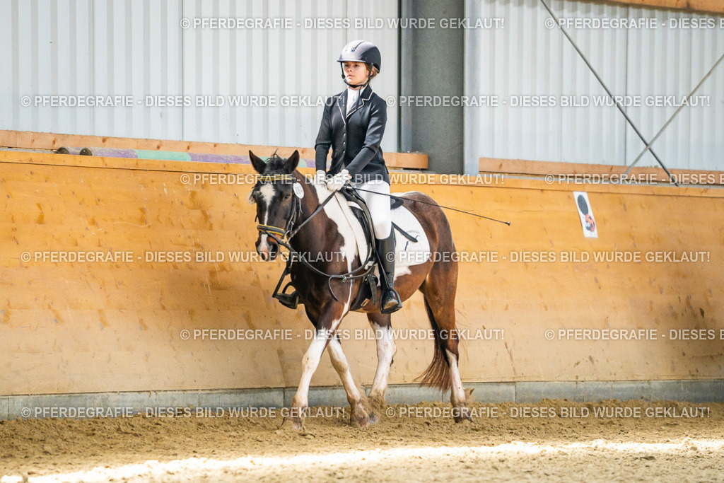 DSC03236 | Pferdegrafie