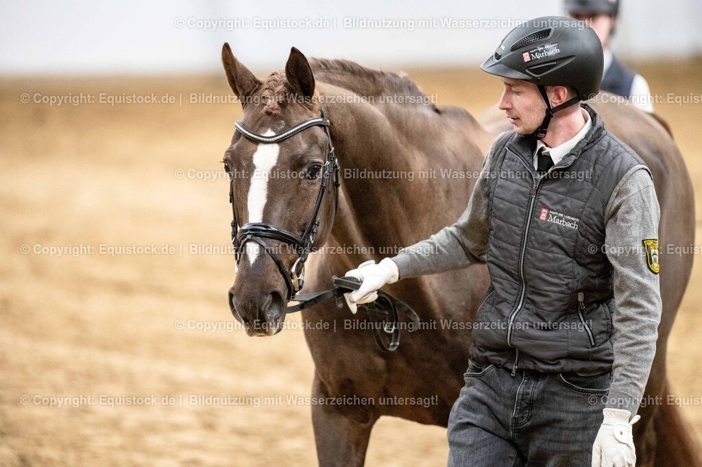 20260307_Hengstvorstellung-Marbach_0549 | equistock