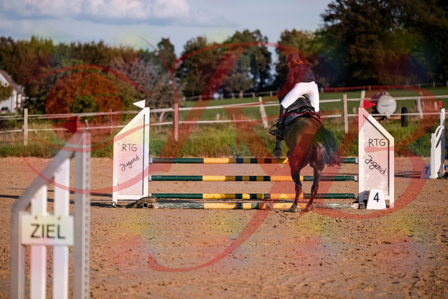 2026_10_03_Siefer-Hof_171906_Z81_17118651 | Professionelle Reitsport-, Turnier- und Eventfotografie von Robert Broda. Galerien mit ausgewählten und bearbeiteten Bildern direkt online ansehen und bestellen.