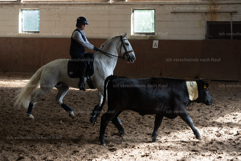 WM_COW_142_SinaFilmArt_IN05120 | working equitationturnier fotograf videograf stoibphotography marixx film working equitation deutschland reitsport turnierfotografie eventfotografie equestrian events