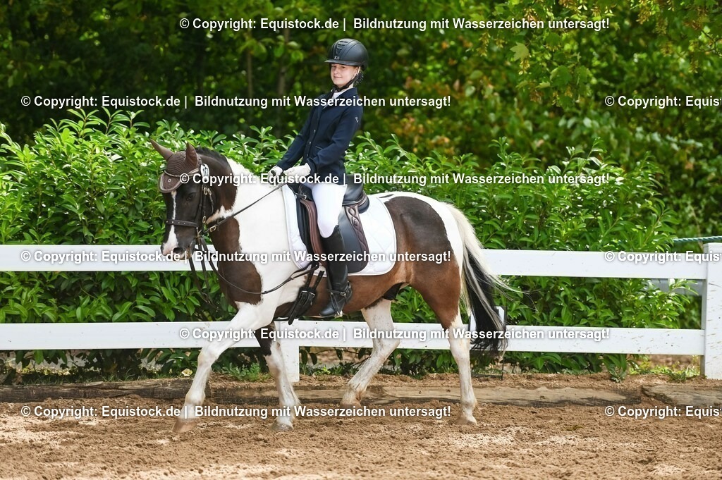 20230716_10-2_Reiter-WB Schritt - Trab - Galopp_0169 | equistock