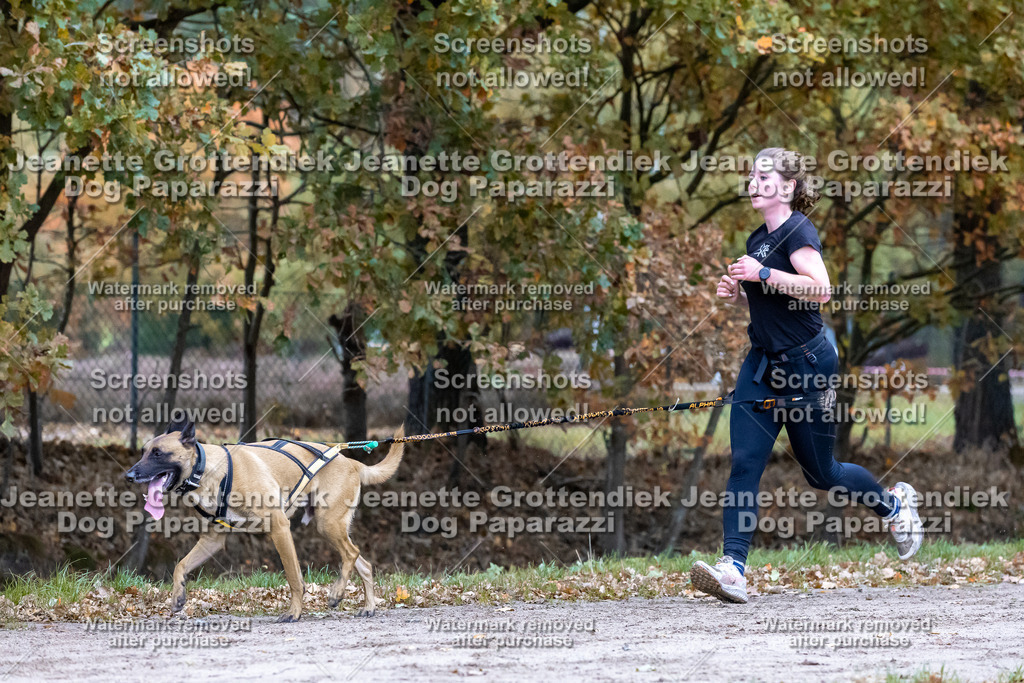 Dog Paparazzi - SD CaniX Championship 2025-148 | Dog Paparazzi Jeanette Grottendiek Fotografie & Videografie - Realisiert mit Pictrs.com