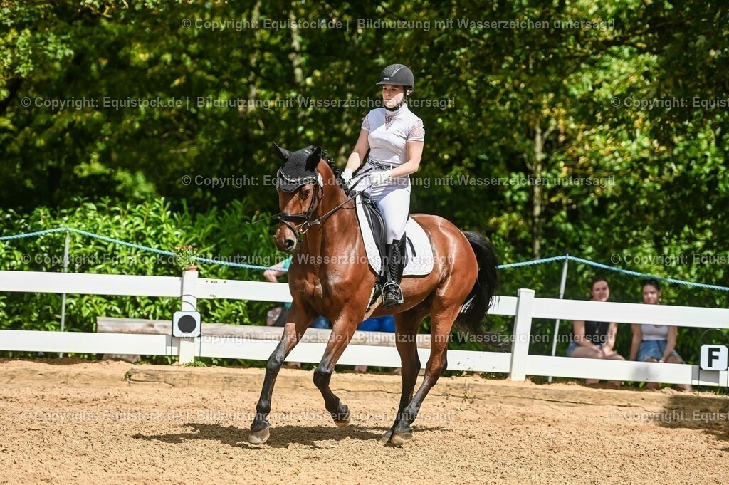 20230715_02_Dressurreiterprüfung Kl.L_0212 | equistock