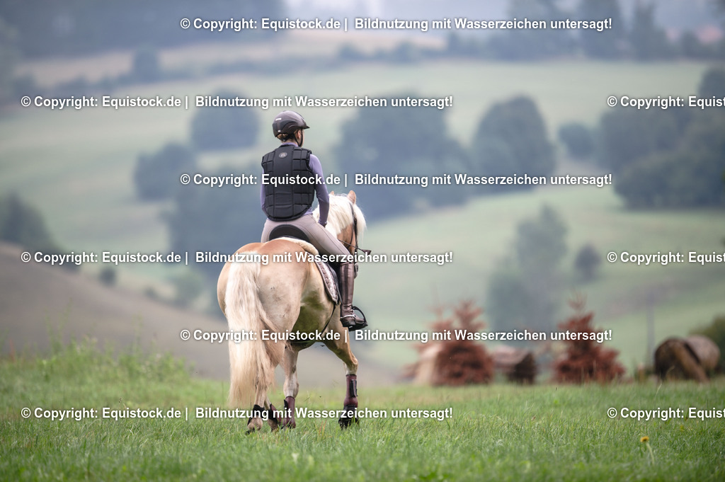 20250726_Vielseitigkeitslehrgang-Marbach_0219 | Foto: Thomas Hartig