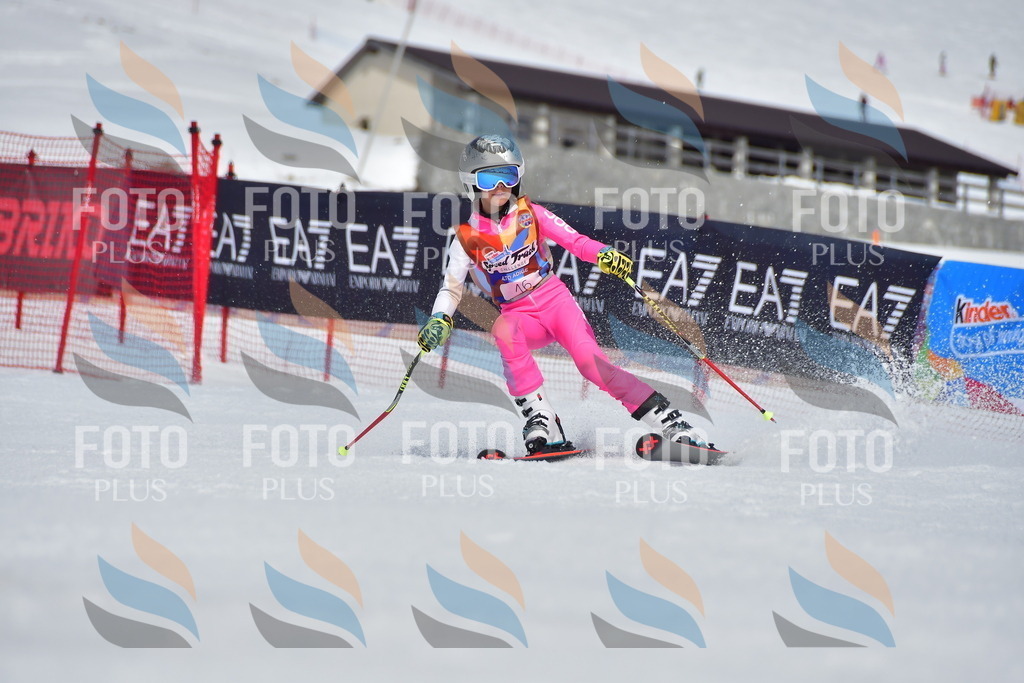 _DSC6799 | holidayphoto