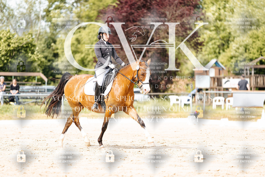 CK901239 | Turnierfotografie Pferdefotografie Trier Rheinland-Pfalz Pferdesport Reitsport Tierfotografie Sportfotografie Pferdevideo Pferdevideografie Equestrianvideography equestrianphotography  - Realisiert mit Pictrs.com
