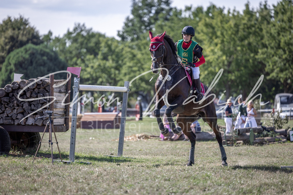20260906-_3LI5960 | Tierfotografie Pferde, Hunde, Katzen, Haustiere.
Turnierfotografie Reitturniere, Reiten, Springreiten, Dressur in Hanau, dem Main-Kinzig-Kreis und dem Rhein-Main- Gebiet um Frankfurt