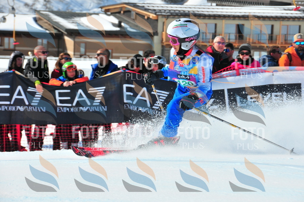 DSC_0952 | holidayphoto