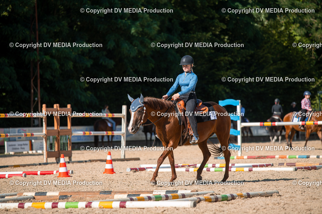 EWP_6998 | dv-media-shop - Realisiert mit Pictrs.com