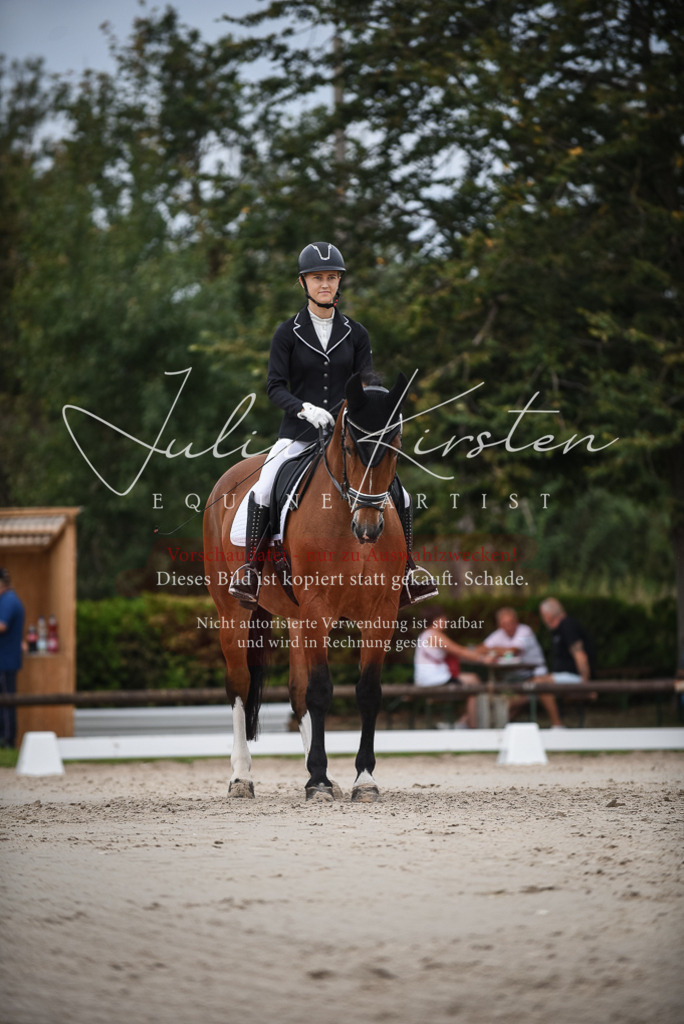 DSC_8248 | Pferde- und Turnierfotografie in Westsachsen. Pferdeportraits, Auftragszeichnungen und intuitive Kunst.