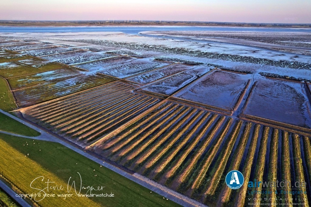 Luftbild Nordstrand, LangerDeich, Dreisprung, Püttenweg, Trendermarsch, Husumer Bucht | Luftbild Nordstrand, LangerDeich, Dreisprung, Püttenweg, Trendermarsch, Husumer Bucht - Das gewonnene Land dient vor allem der Landwirtschaft, insbesondere der Viehzucht und Grünlandwirtschaft. Gleichzeitig steht der Deichbau im Spannungsfeld zwischen Mensch und Natur: Während die Landgewinnung Lebensraum sicherte, beeinträchtigte sie auch empfindliche Ökosysteme des Wattenmeers, das heute als UNESCO-Weltnaturerbe geschützt ist.