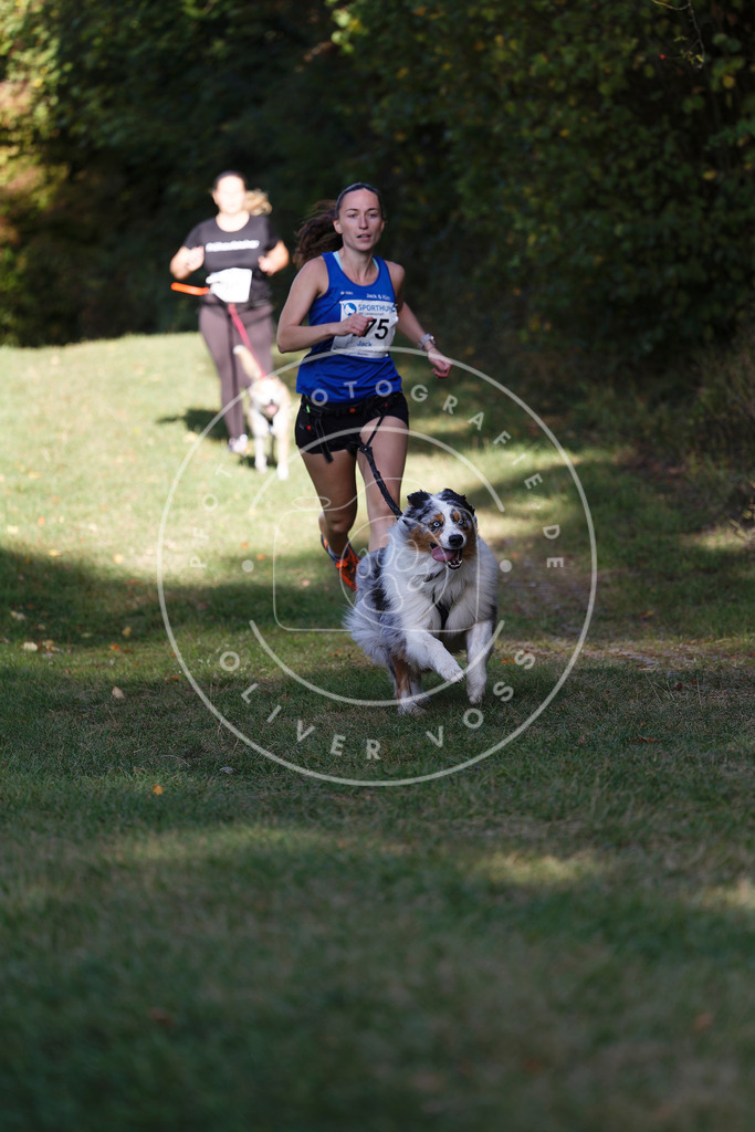 0L8A5577 | Hundefotografie, Tierfotograf, Pfotenfotografie, Fotoshooting Hund, Hunde Portrait, Hundesport, Hundeportraits, Heideshooting, Hunde, Sportfotograf, Hundefotograf, Turnierhundsport, THS,  - Realisiert mit Pictrs.com