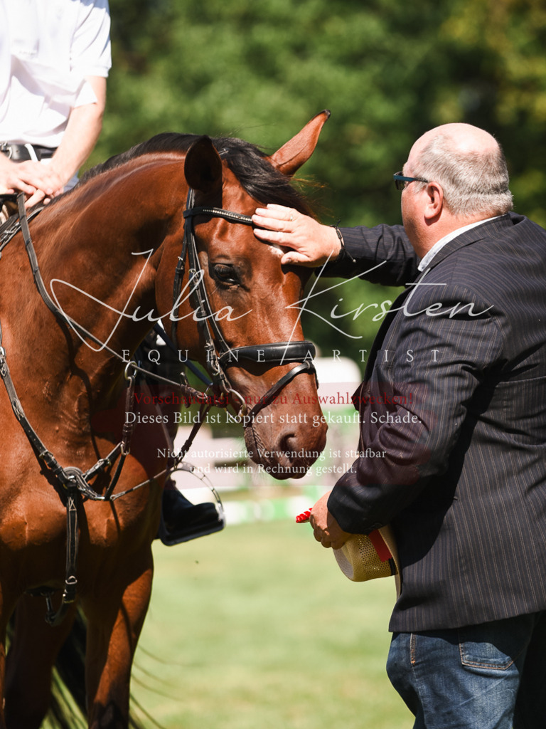 DSC_2944 | Pferde- und Turnierfotografie in Westsachsen. Pferdeportraits, Auftragszeichnungen und intuitive Kunst.