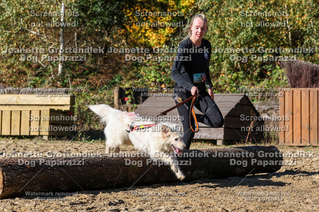 Dog Paparazzi - Strongdog 10-25-2365 | Dog Paparazzi Jeanette Grottendiek Fotografie & Videografie - Realisiert mit Pictrs.com